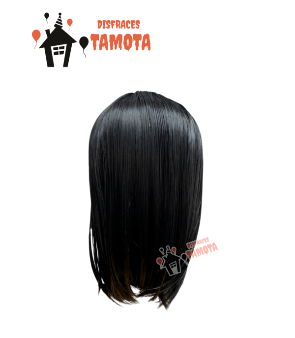PELUCA MELENA NEGRA 💁‍♀️👩‍🦰 (ARRIENDO) - Imagen 3