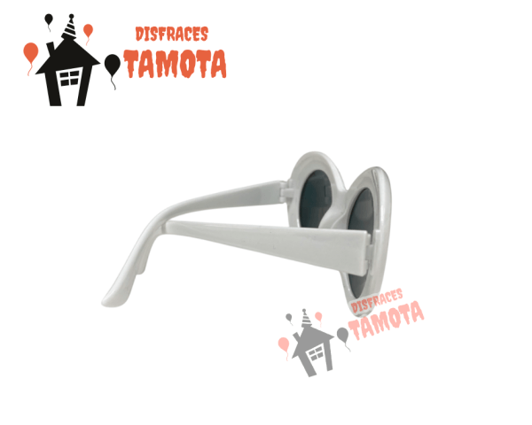 LENTES  _ ESTILO RETRO 👓 (ARRIENDO) - Imagen 3