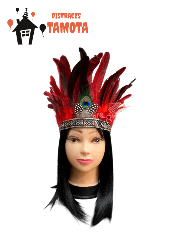 💰VENTA_  CORONA DE PLUMAS ROJO 🪶🪶