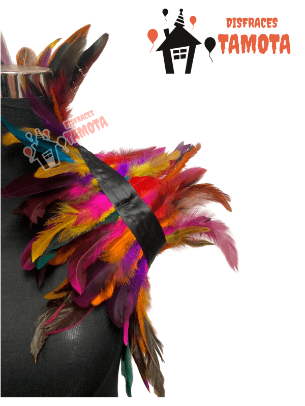 💰VENTA_  PLUMA DE HOMBROS MULTICOLOR🪶🪶 - Imagen 2