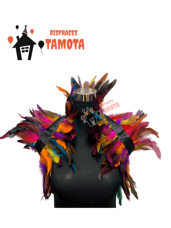 💰VENTA_  PLUMA DE HOMBROS MULTICOLOR🪶🪶